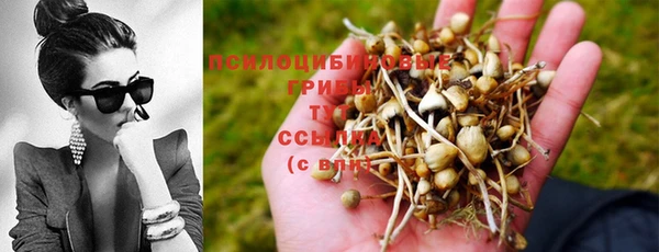 дмт Верхний Тагил